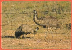 Emu Postcard Puzzle