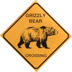 Grizzly  Bear Crossing Magnet