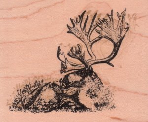 Reindeer Laying Down Rubber Stamp