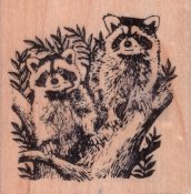 Raccoons Rubber Stamp