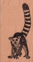 Ringtail Lemur Rubber Stamp