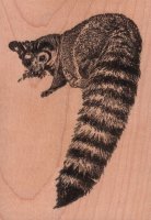 Ringtail Cat Rubber Stamp