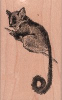 Brushtail Possum Rubber Stamp