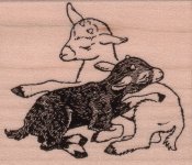 2 Baby Goats Rubber Stamp
