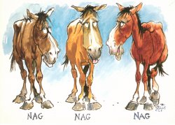 Nag Horse